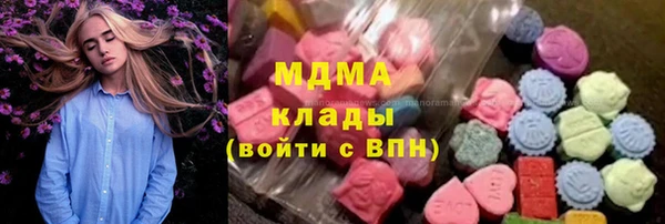 стаф Аркадак