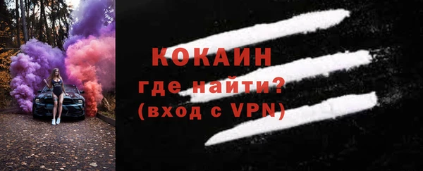 стаф Аркадак