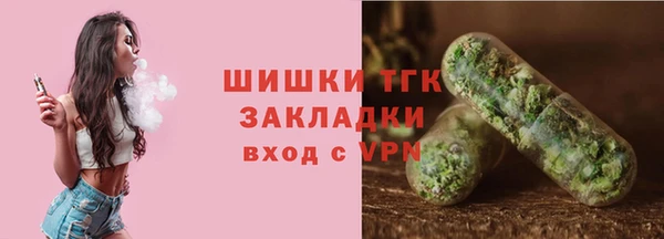 соль ск Гусев