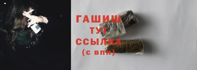 стаф Аркадак