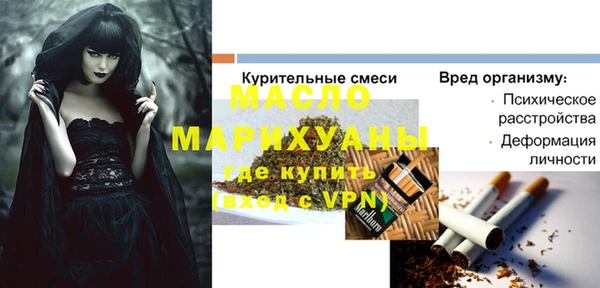 стаф Аркадак