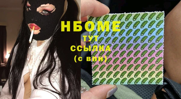 стаф Аркадак